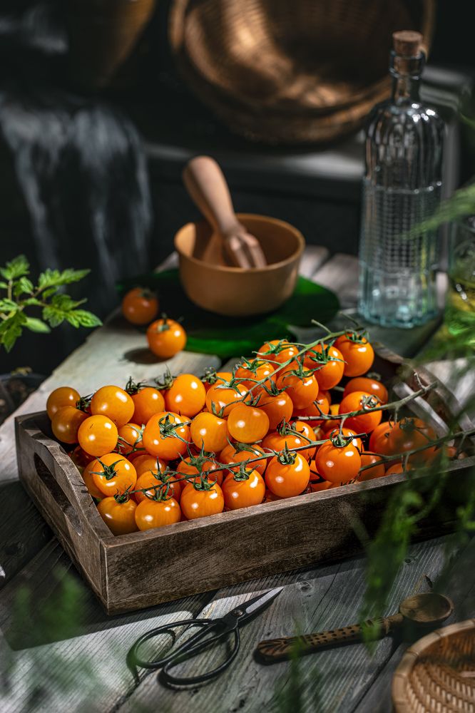 Photograph by roena mahjabin