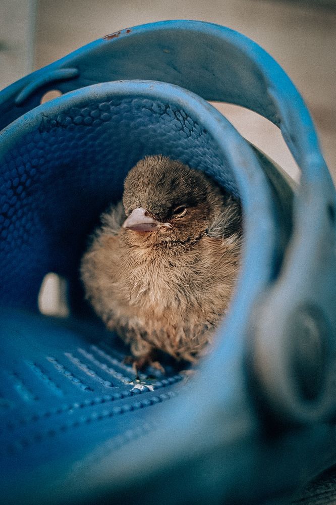 Photograph by Евгения Иванова