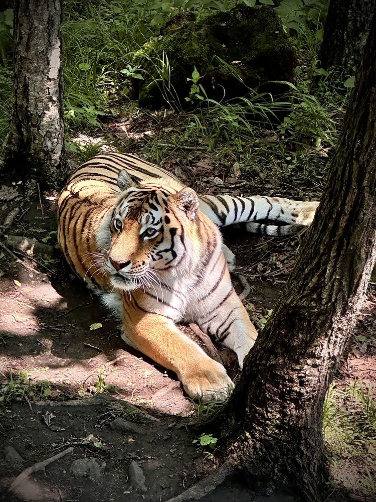 Photograph by Stanislav Borodinov