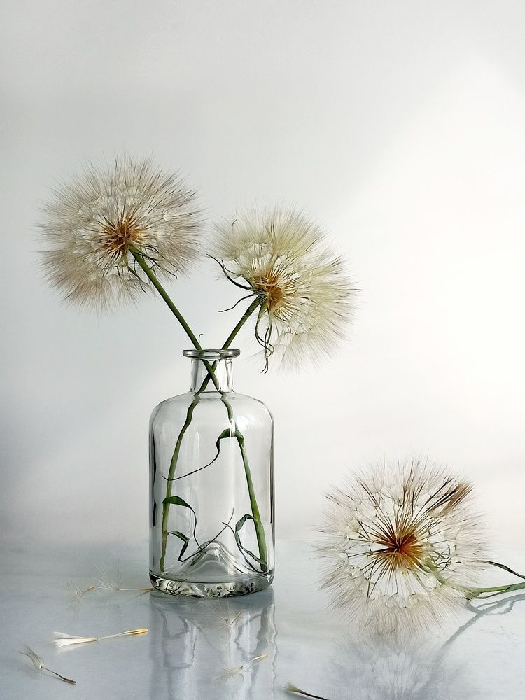 Фотография автора Татьяна Шахова