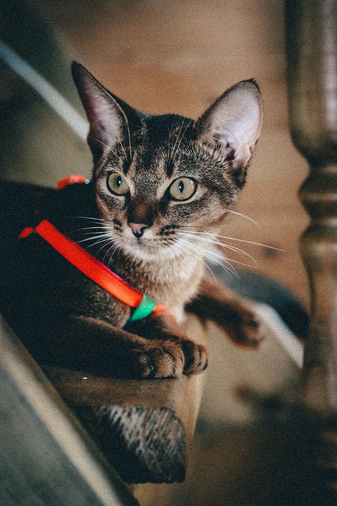 Photograph by Евгения Иванова
