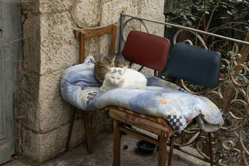 Photograph by Альфия Хабирова