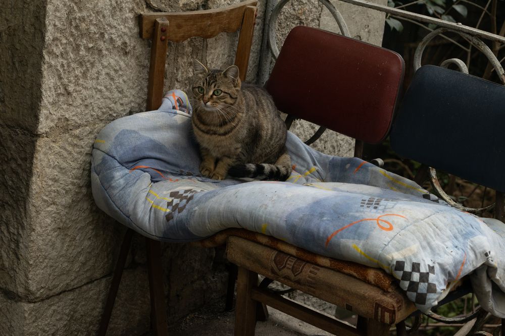 Photograph by Альфия Хабирова