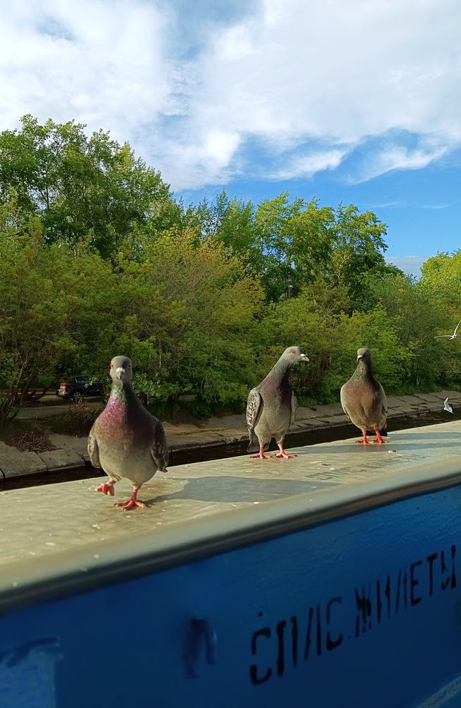 Фотография автора Ольга Кунакова