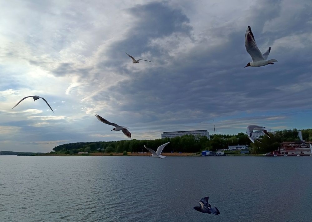 Фотография автора Ольга Кунакова