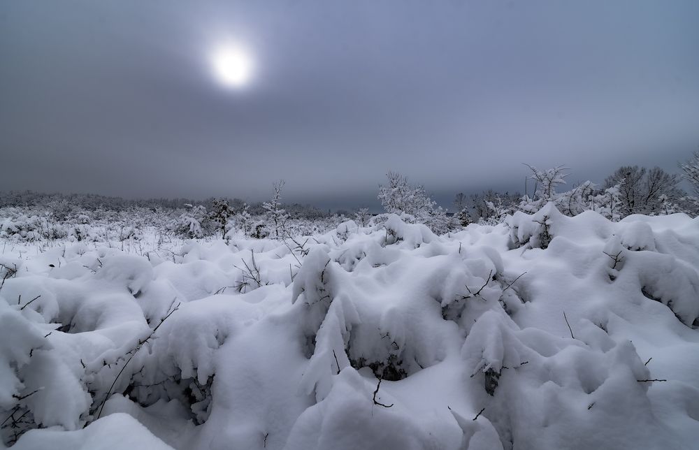Photograph by Алексей Мякота