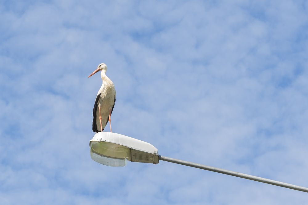 Photograph by Максим Бычин