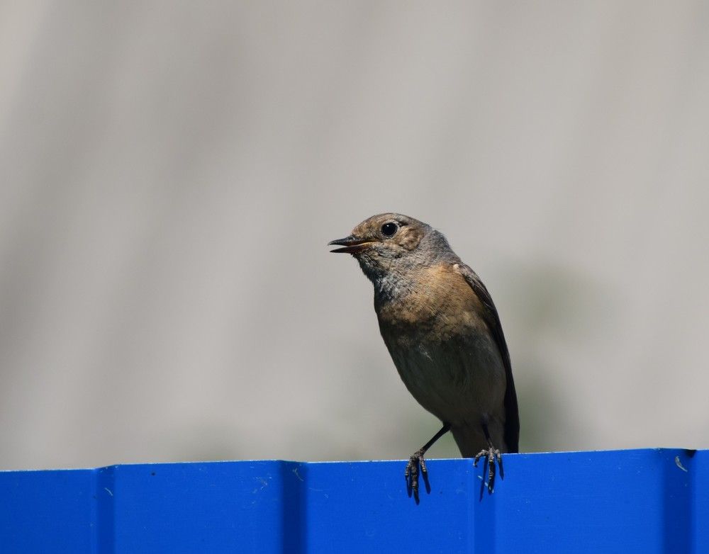 Photograph by Лариса Стрекулева