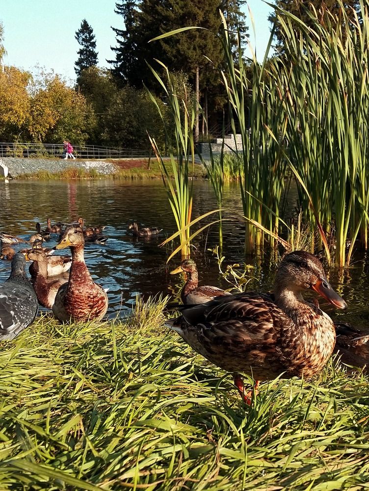 Фотография автора Ольга Кунакова