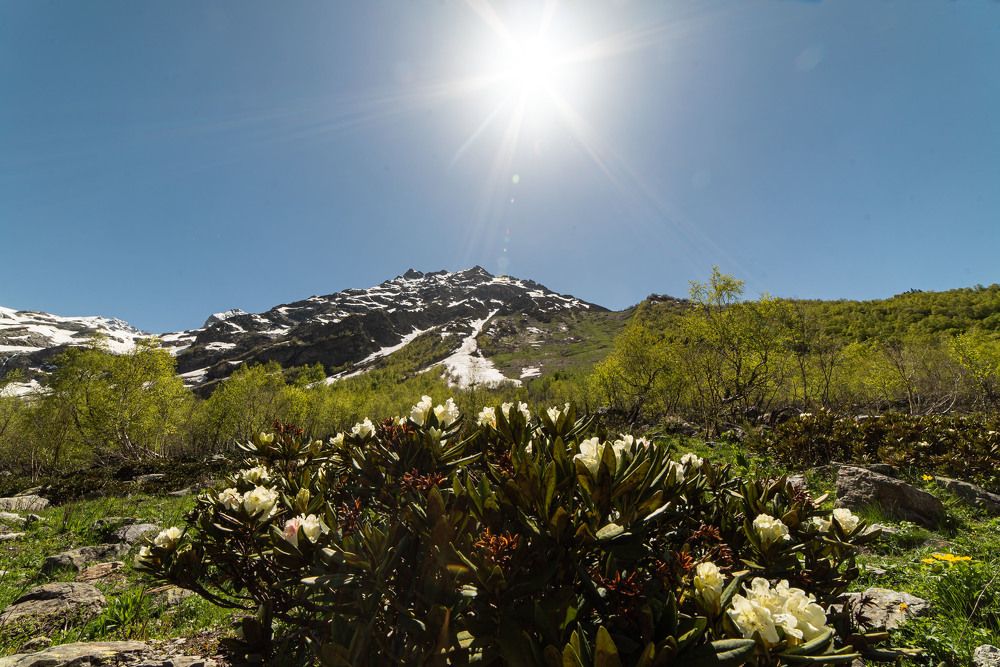 Photograph by Михаил Володин