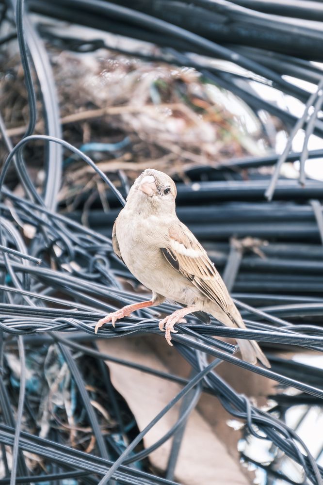 Photograph by Mian Chau