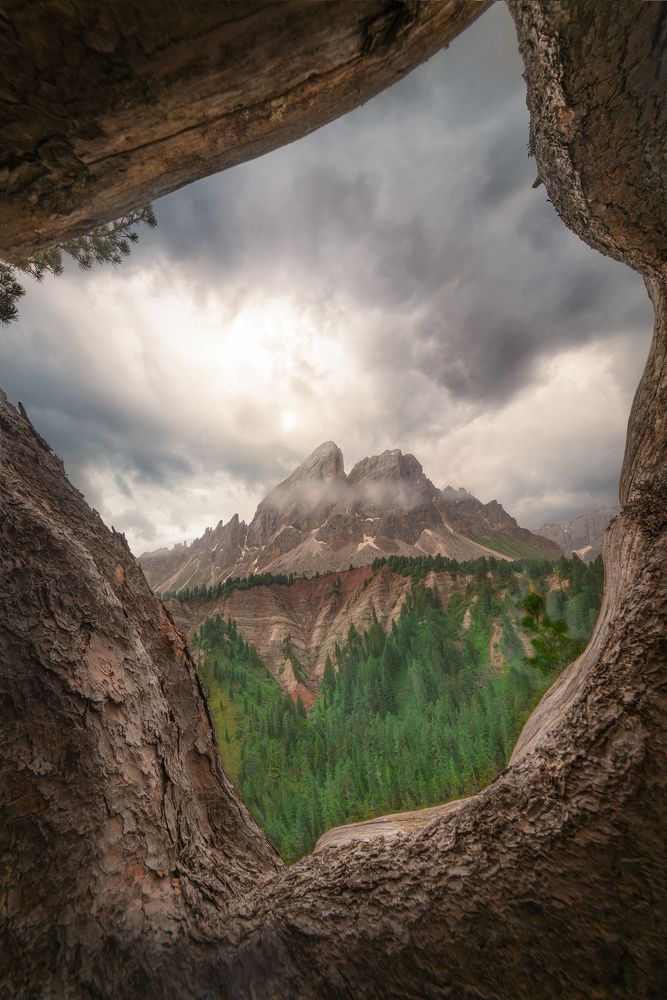 Photograph by Markus Albert