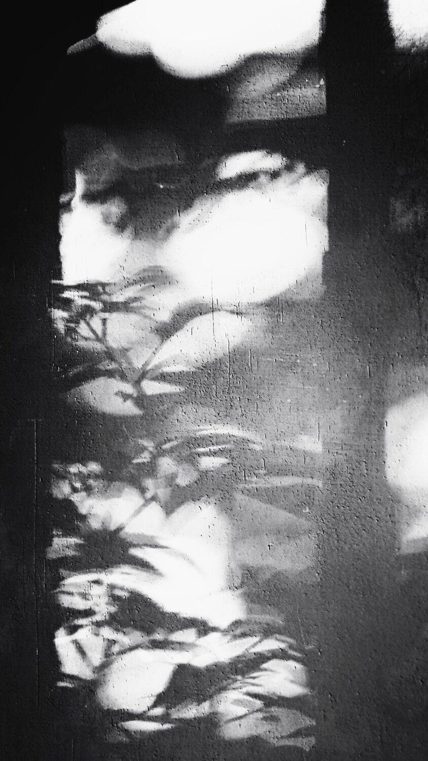 Photo #10812644