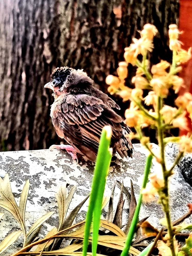Photograph by Nidhi Singh