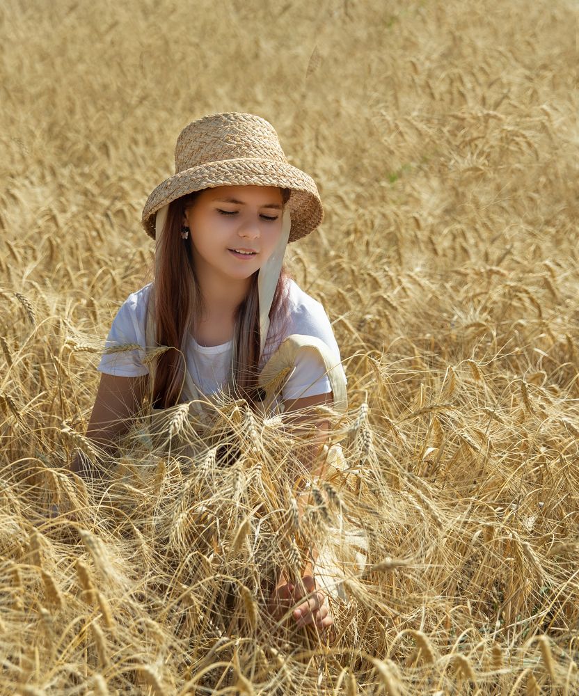 Пшеничное поле