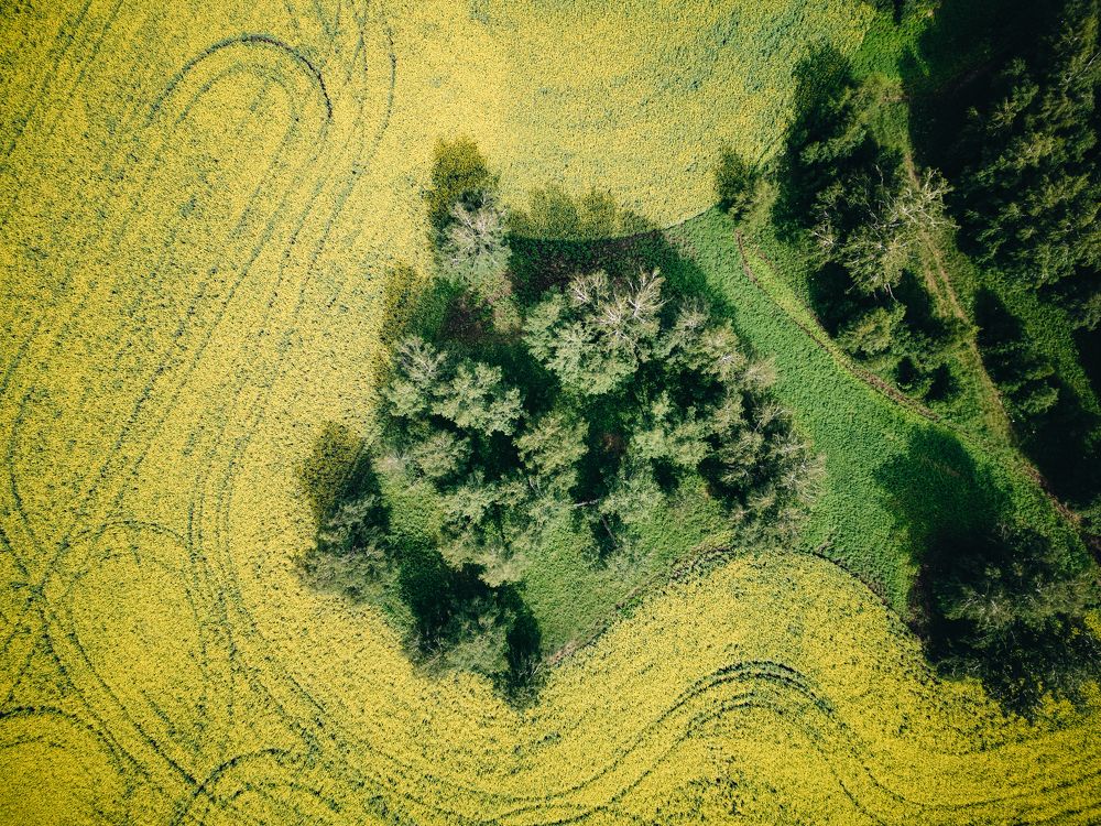 Фотография автора Дмитрий Ширнин