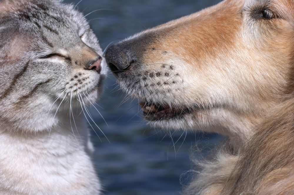 Photograph by LYUDMYLA POKRYSHEN