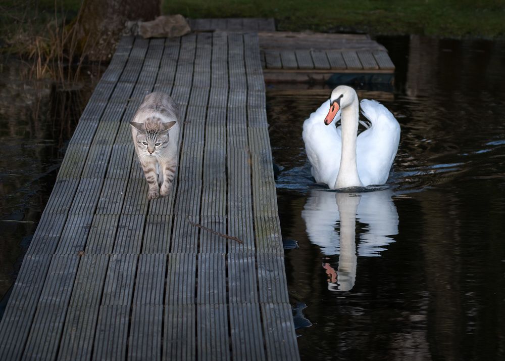 Photograph by LYUDMYLA POKRYSHEN