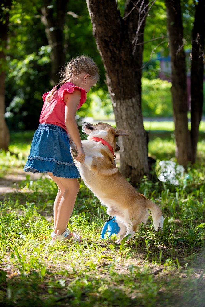 Фотография автора Шарова Наталия