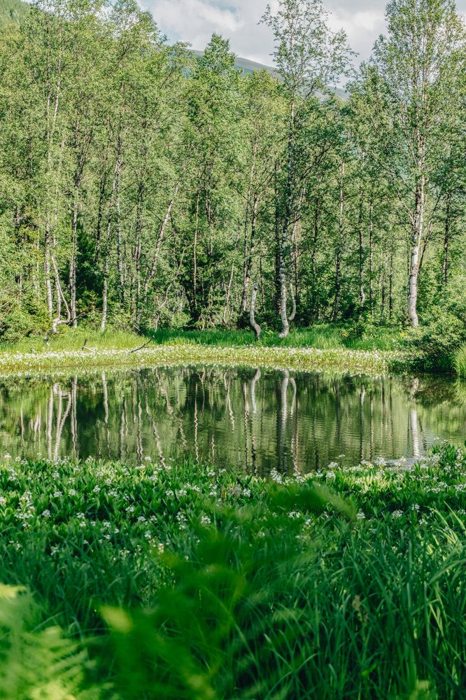 Фотография автора Дмитрий Ширнин