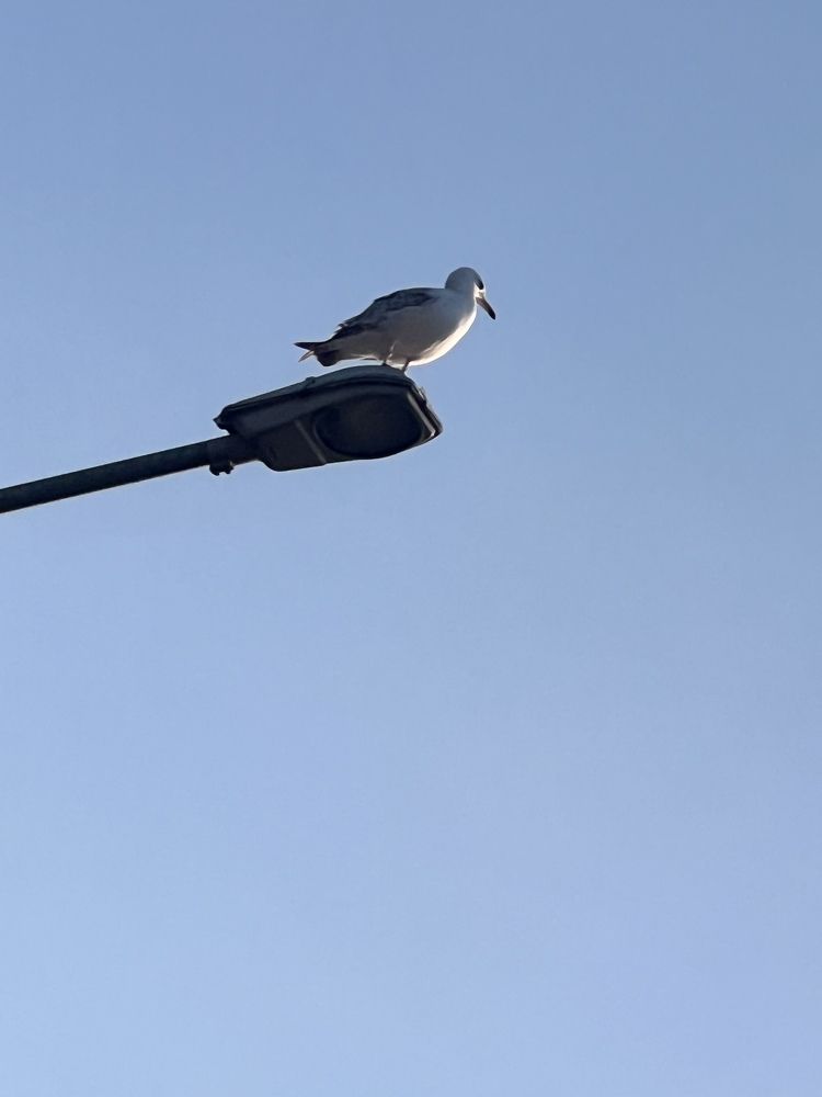 Photograph by Subash