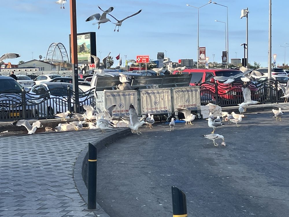 Photograph by Subash