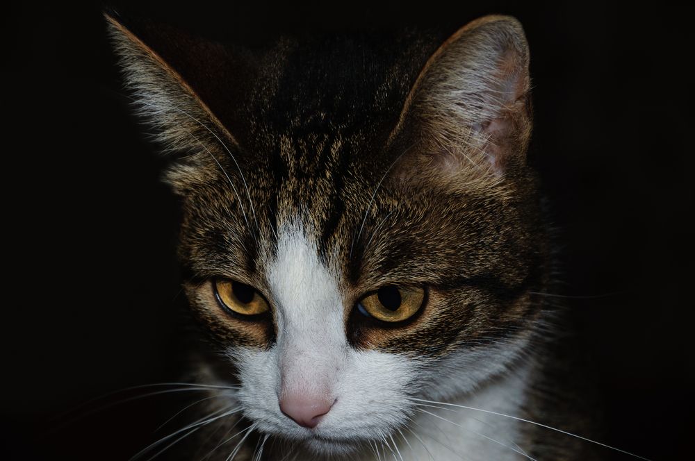 Photograph by Александр Поцелуев