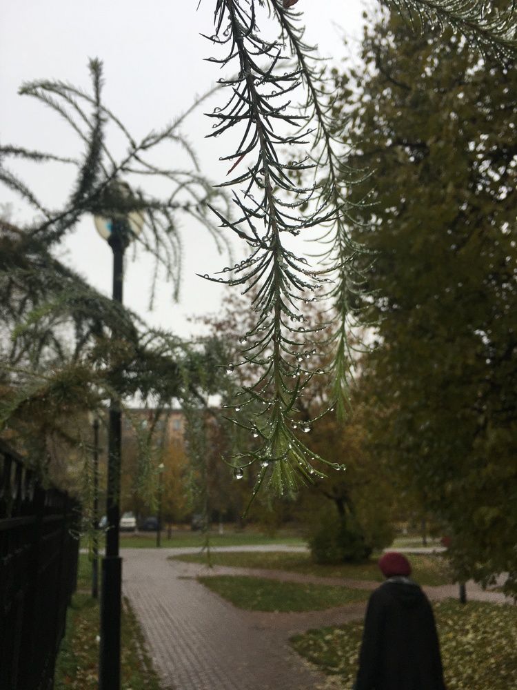 Осенний сплин