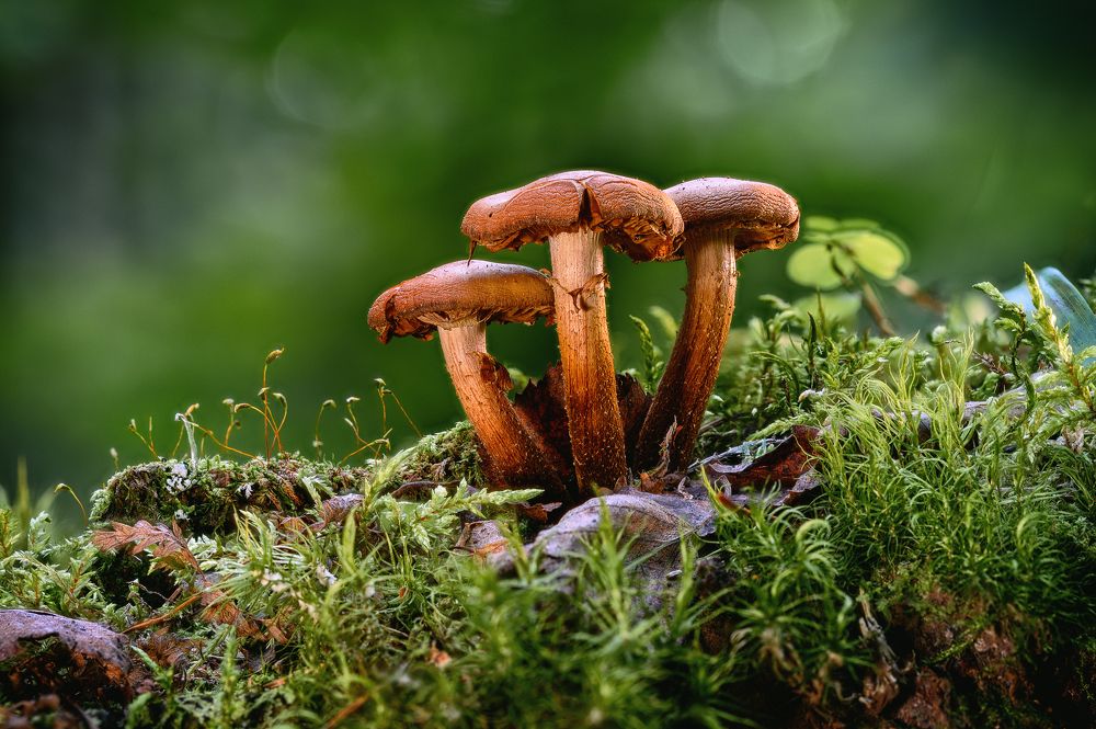 Photograph by Нуждин Андрей