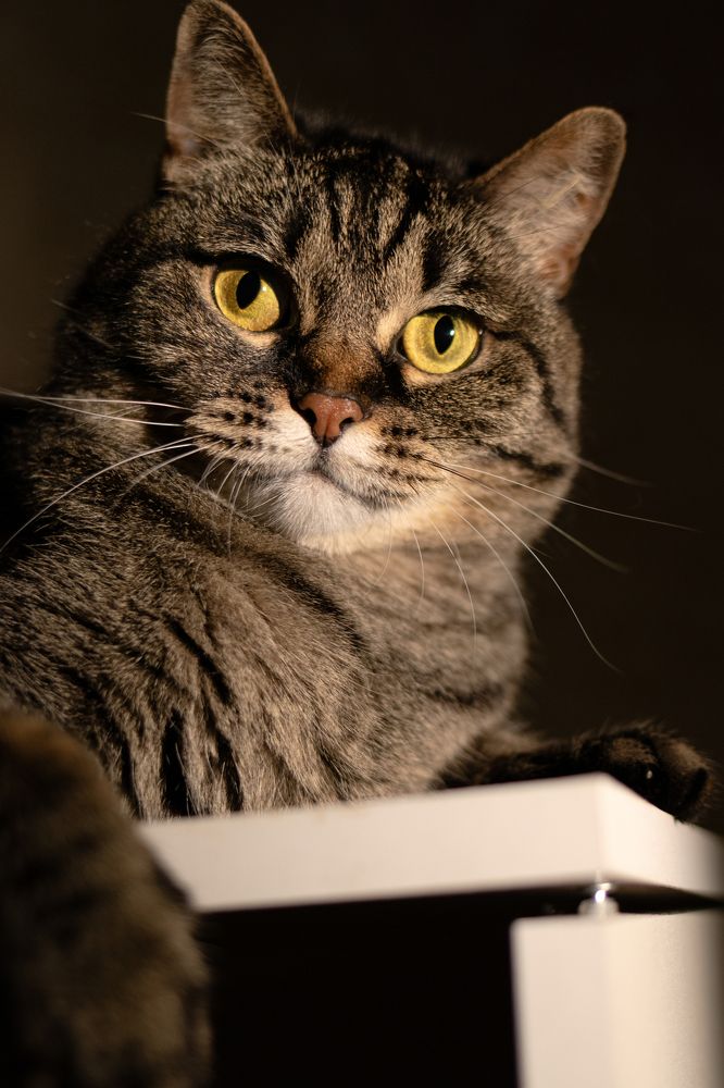 Photograph by Екатерина Талалай