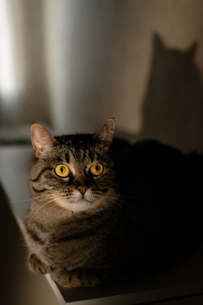 Photograph by Екатерина Талалай