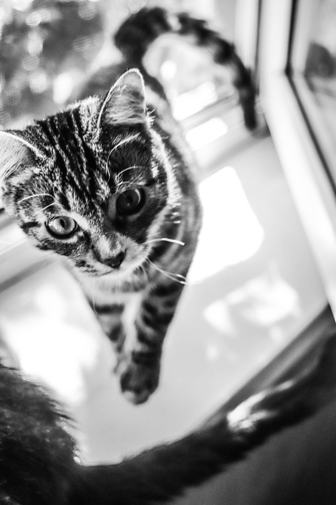 Photograph by Наталья Шёлкова