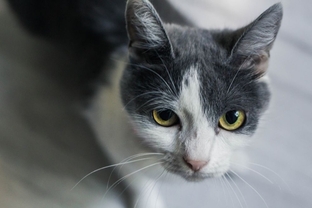 Photograph by Наталья Шёлкова