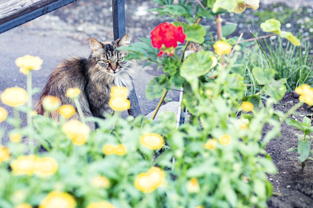 Photograph by Борис Абдуллин