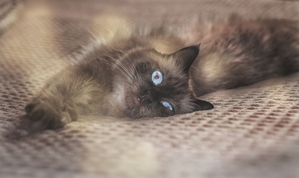 Photograph by Юлия Гетманская