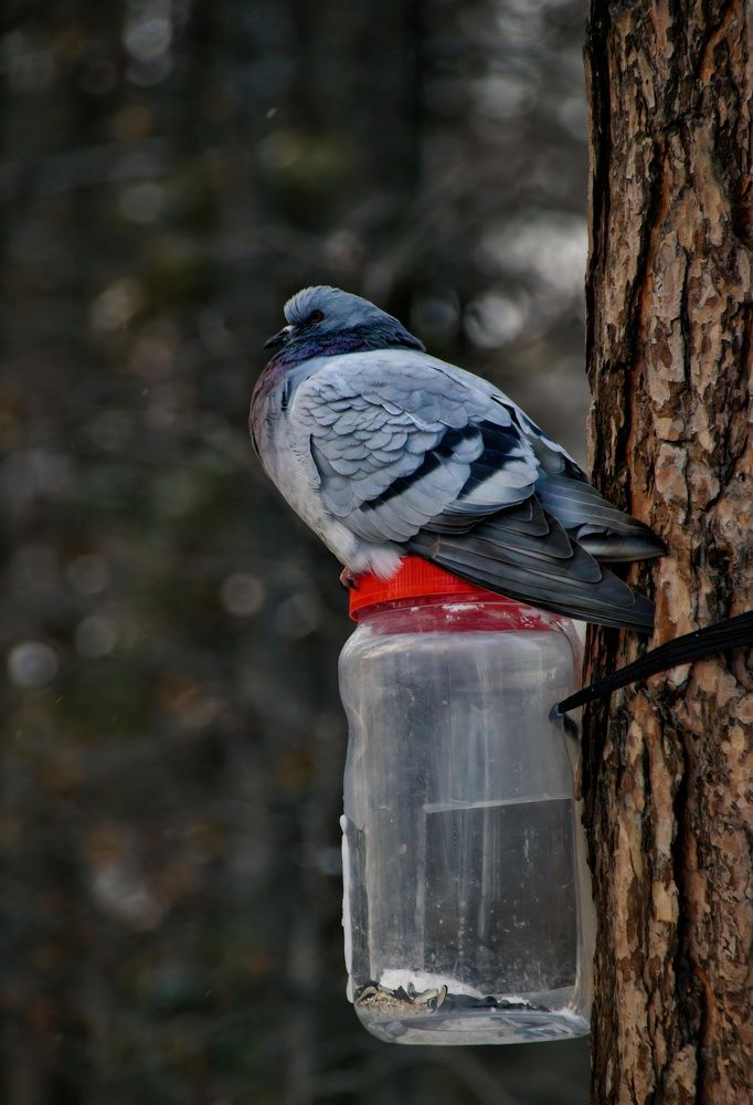 Photograph by Виктория Лобанова