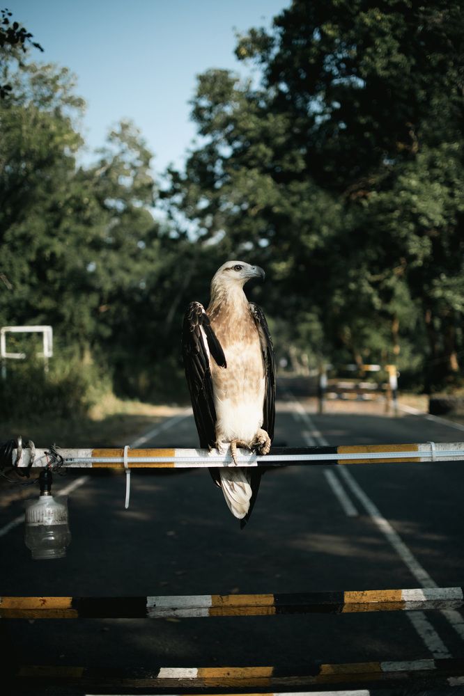 Photograph by Evgeniia Zorina