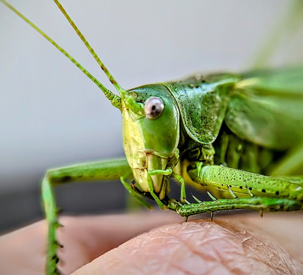 Photograph by AlexaL