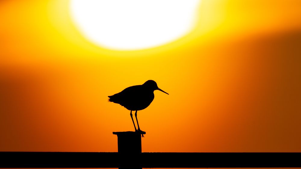 Photograph by crashfil