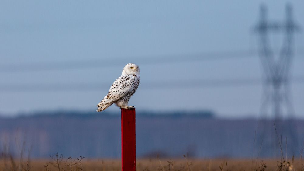 Photograph by crashfil