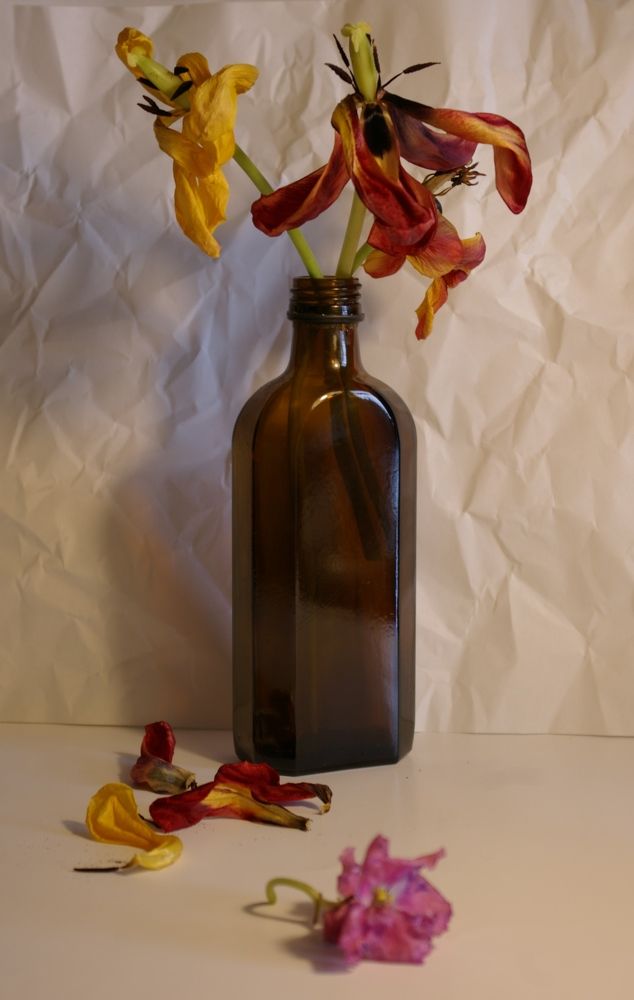 Photograph by Елена Алешкевич