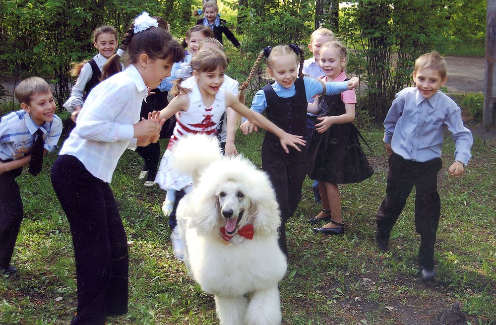 Photograph by Владимир Емельянов