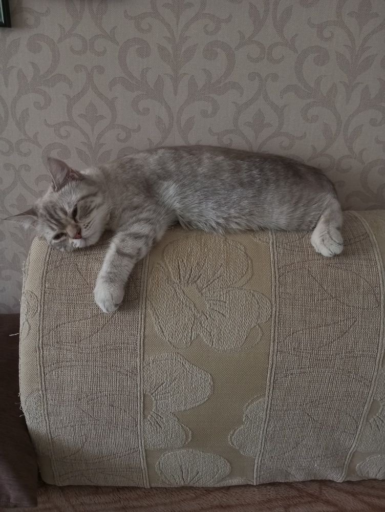 Photograph by Злата Столяр