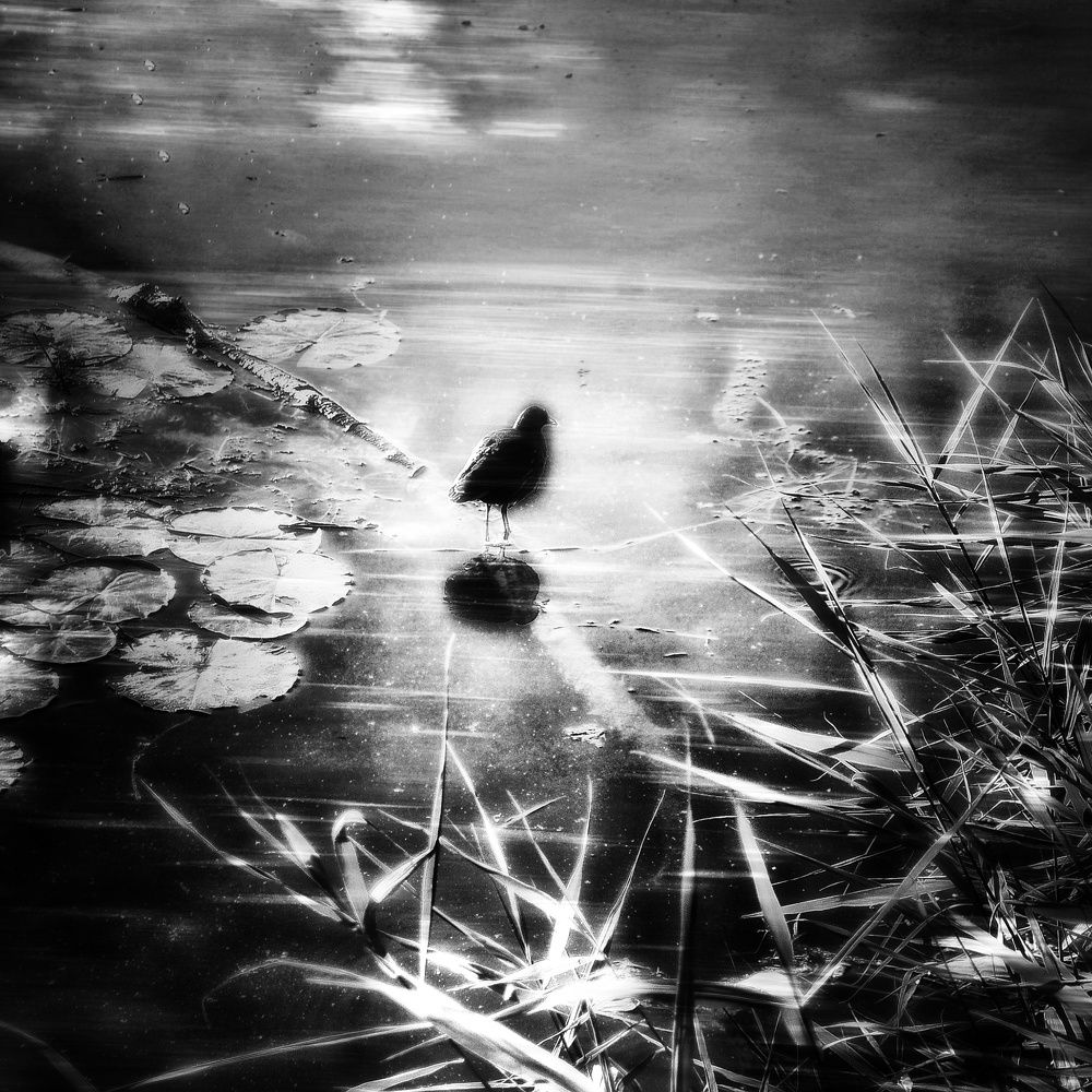 Photograph by Анна Берневик