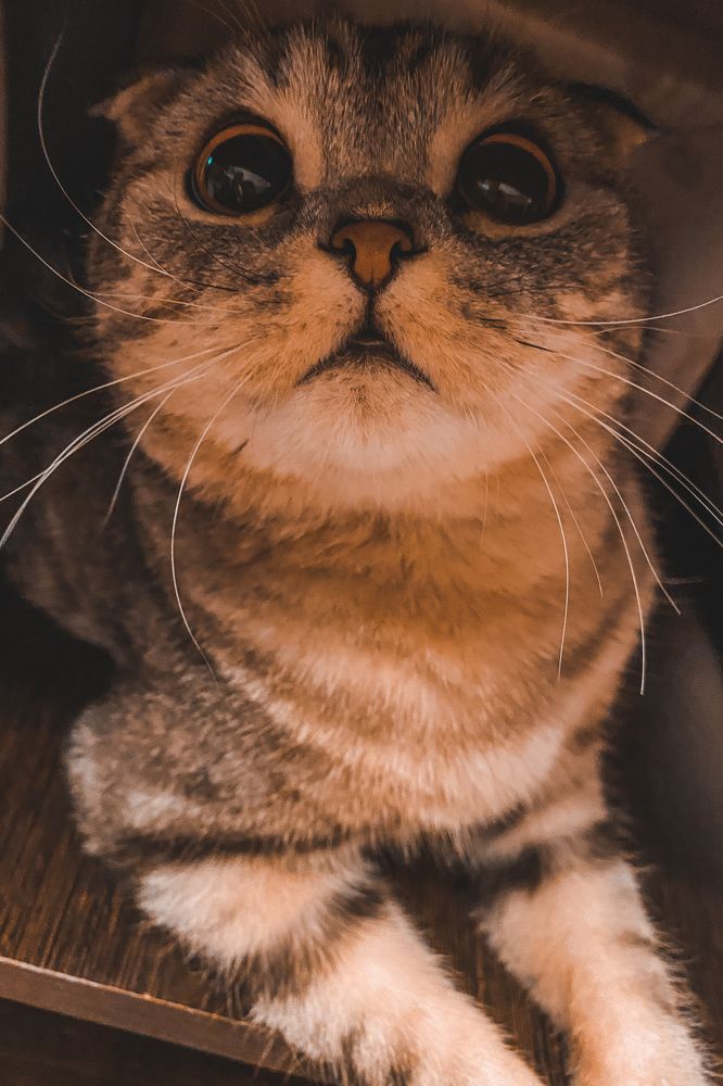 Photograph by Полина