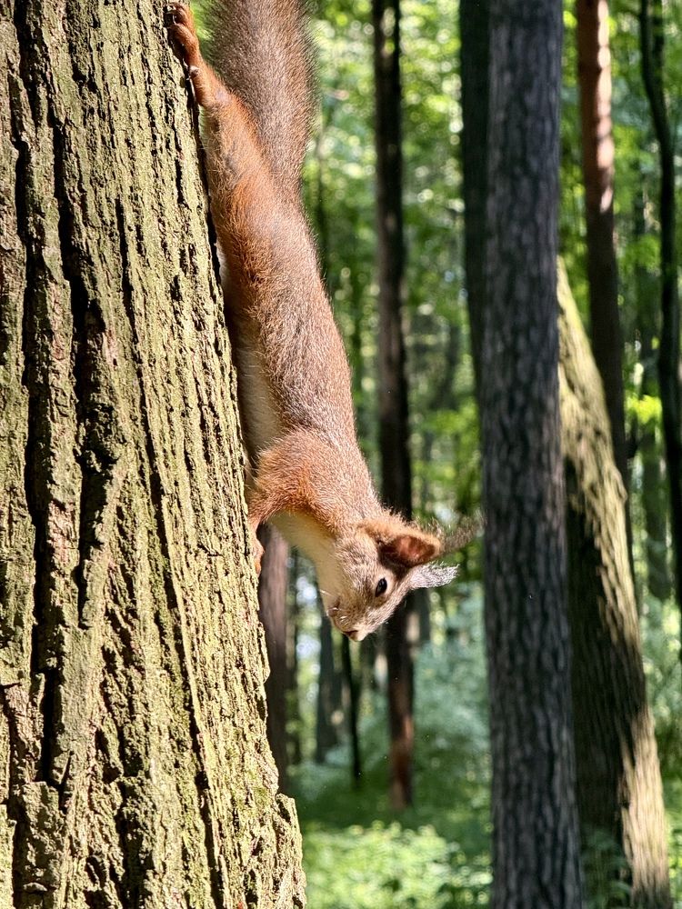 Photograph by Дарья Самойленко