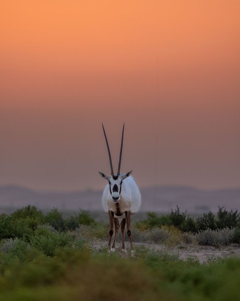 Photograph by Rémi Vacher