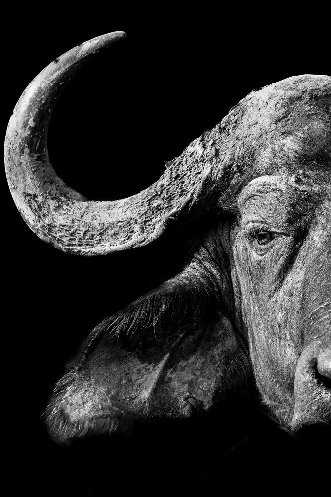 Photograph by Rémi Vacher