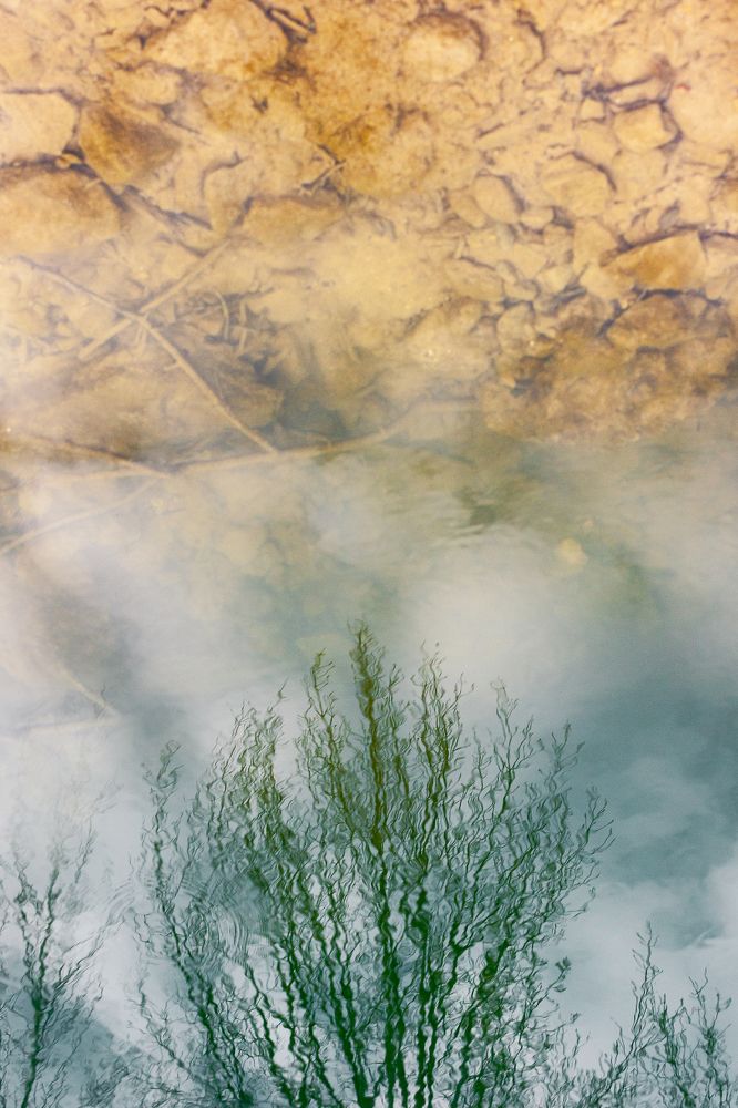 Photograph by Angel Biarnes