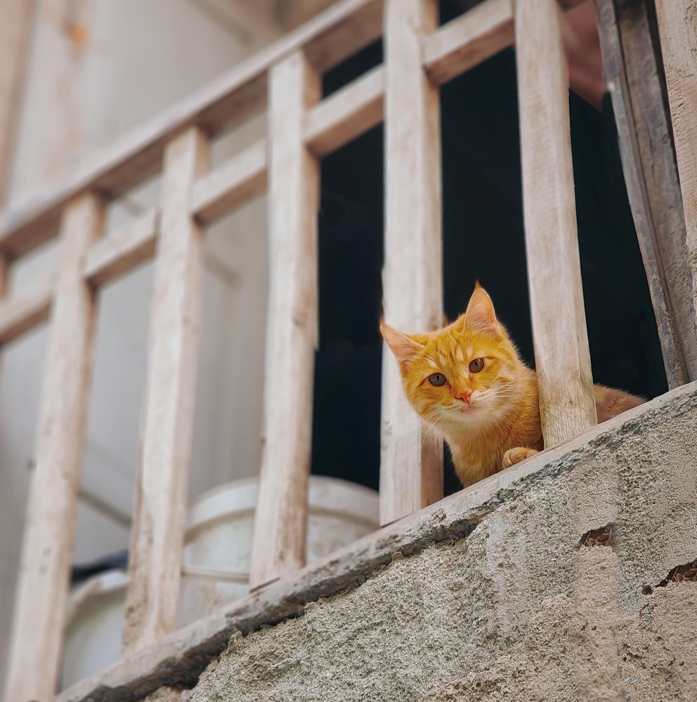 Photograph by Alireza Moghimi